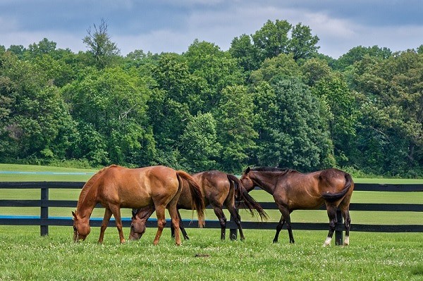 Living in the Country Can Be More Expensive Than You Thought