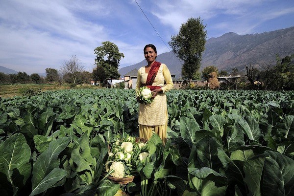 Residents in India Can Now Order Farm Produce Using WhatsApp