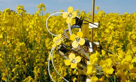 New Way to Help Keep Bees Safe with Robotic Flowers