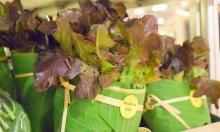 Supermarket Food Wrap in Banana Leaves