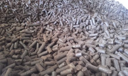 Fuel Made from Sewage without CO2 emmission