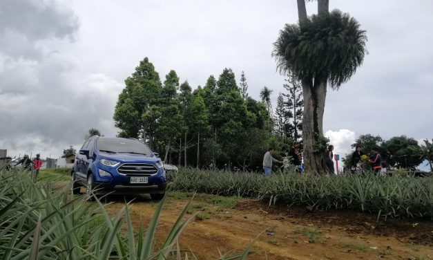 Driving the Mountains of Claveria-Gingoog Road with the Ford Ecosport