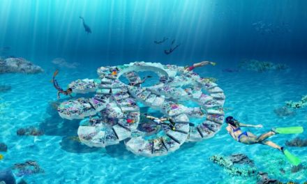 An Underwater Reef Park