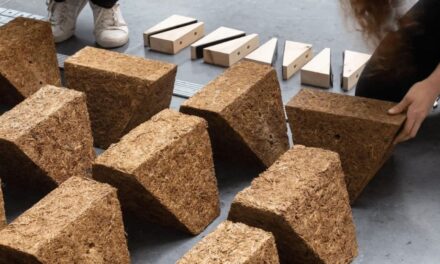 Building Blocks Made from Sugarcane Waste